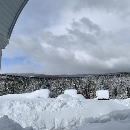 Adams Hill House Retreat - Artist-Architect'S Estate, Newfane Vermont 外观 照片