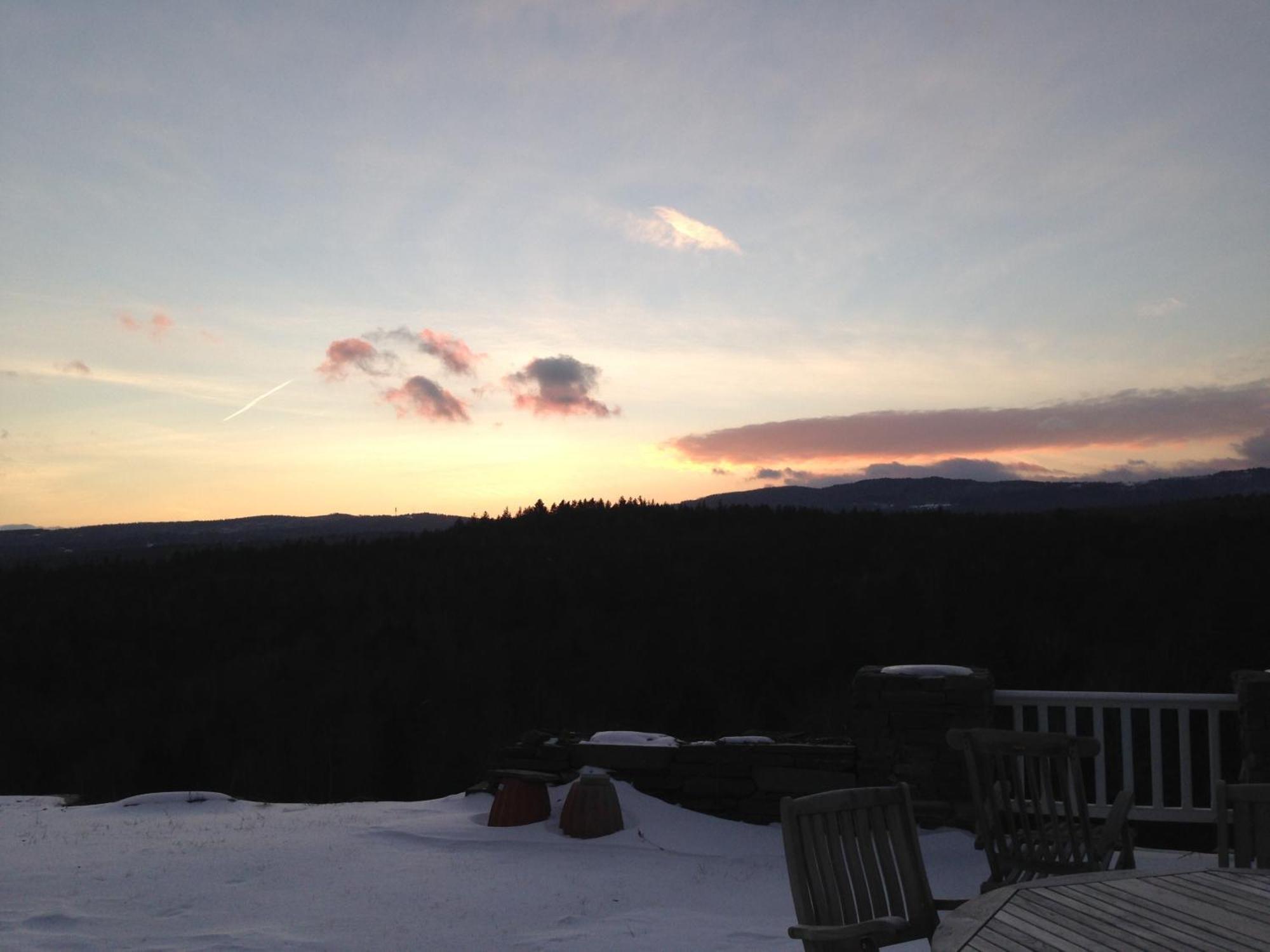 Adams Hill House Retreat - Artist-Architect'S Estate, Newfane Vermont 外观 照片