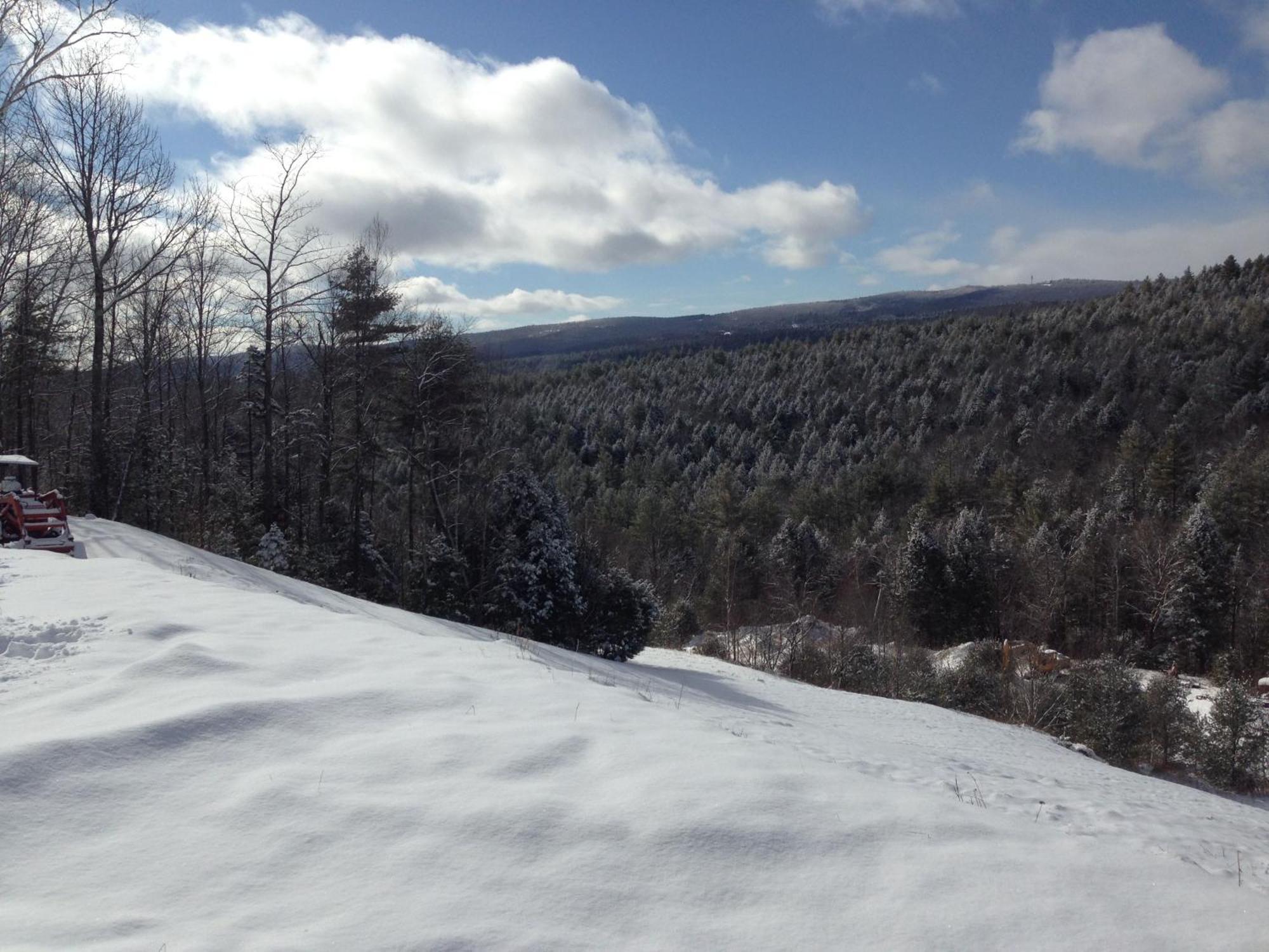 Adams Hill House Retreat - Artist-Architect'S Estate, Newfane Vermont 外观 照片
