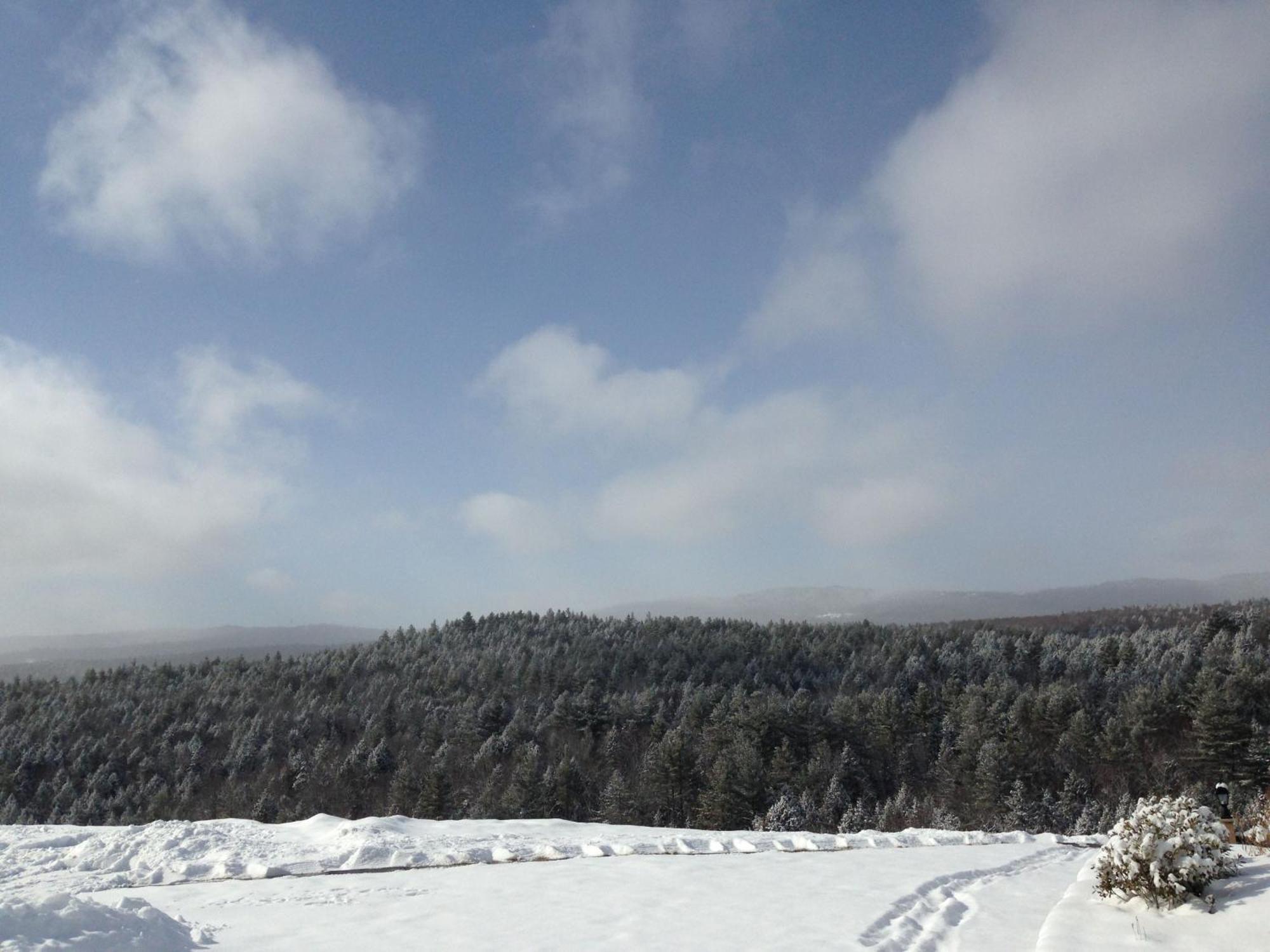Adams Hill House Retreat - Artist-Architect'S Estate, Newfane Vermont 外观 照片