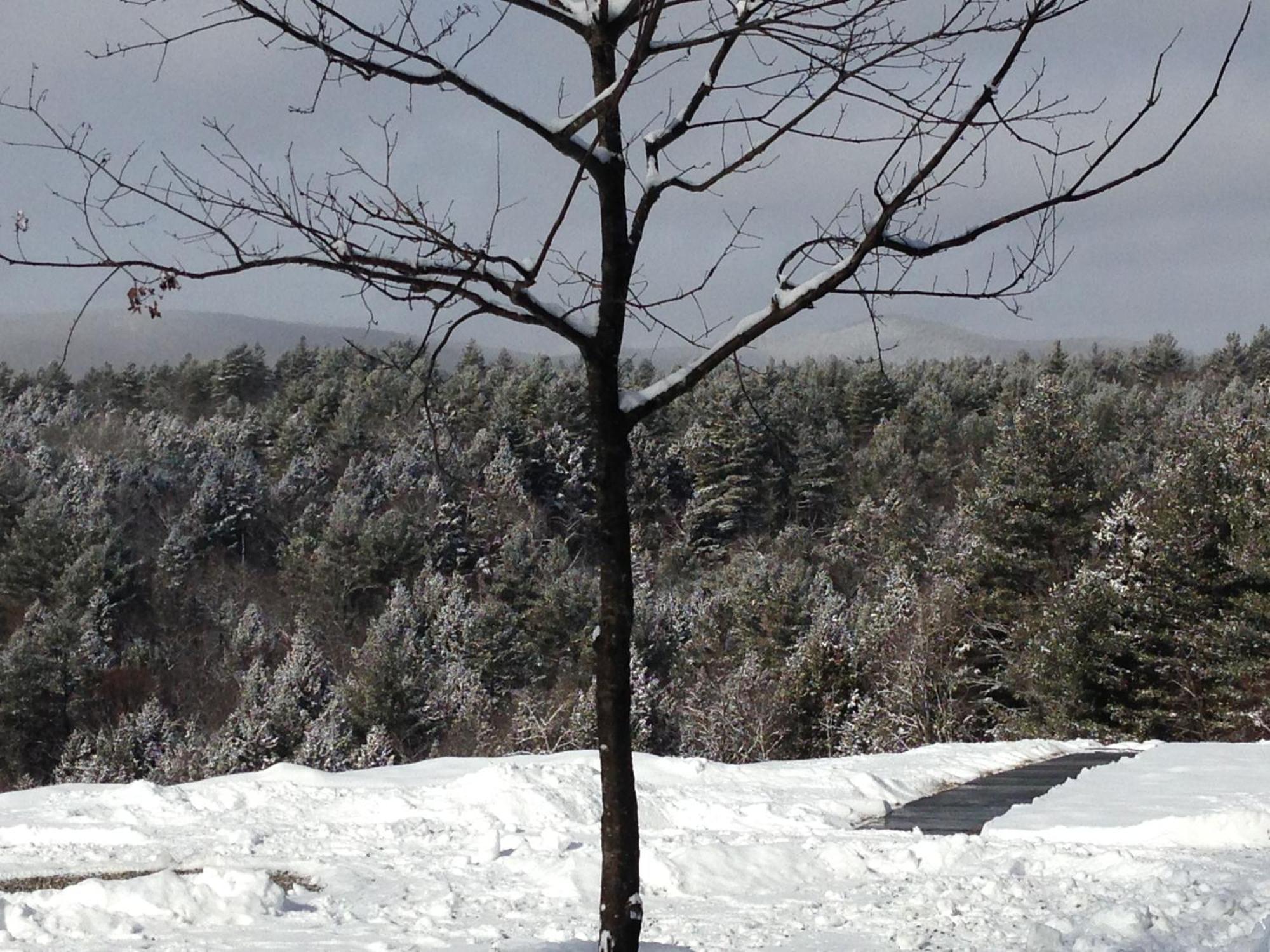 Adams Hill House Retreat - Artist-Architect'S Estate, Newfane Vermont 外观 照片