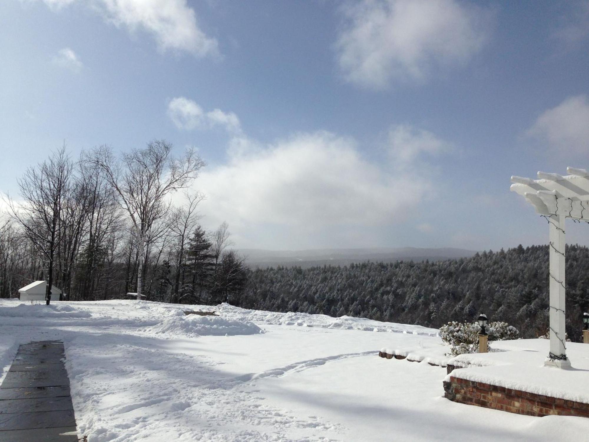 Adams Hill House Retreat - Artist-Architect'S Estate, Newfane Vermont 外观 照片