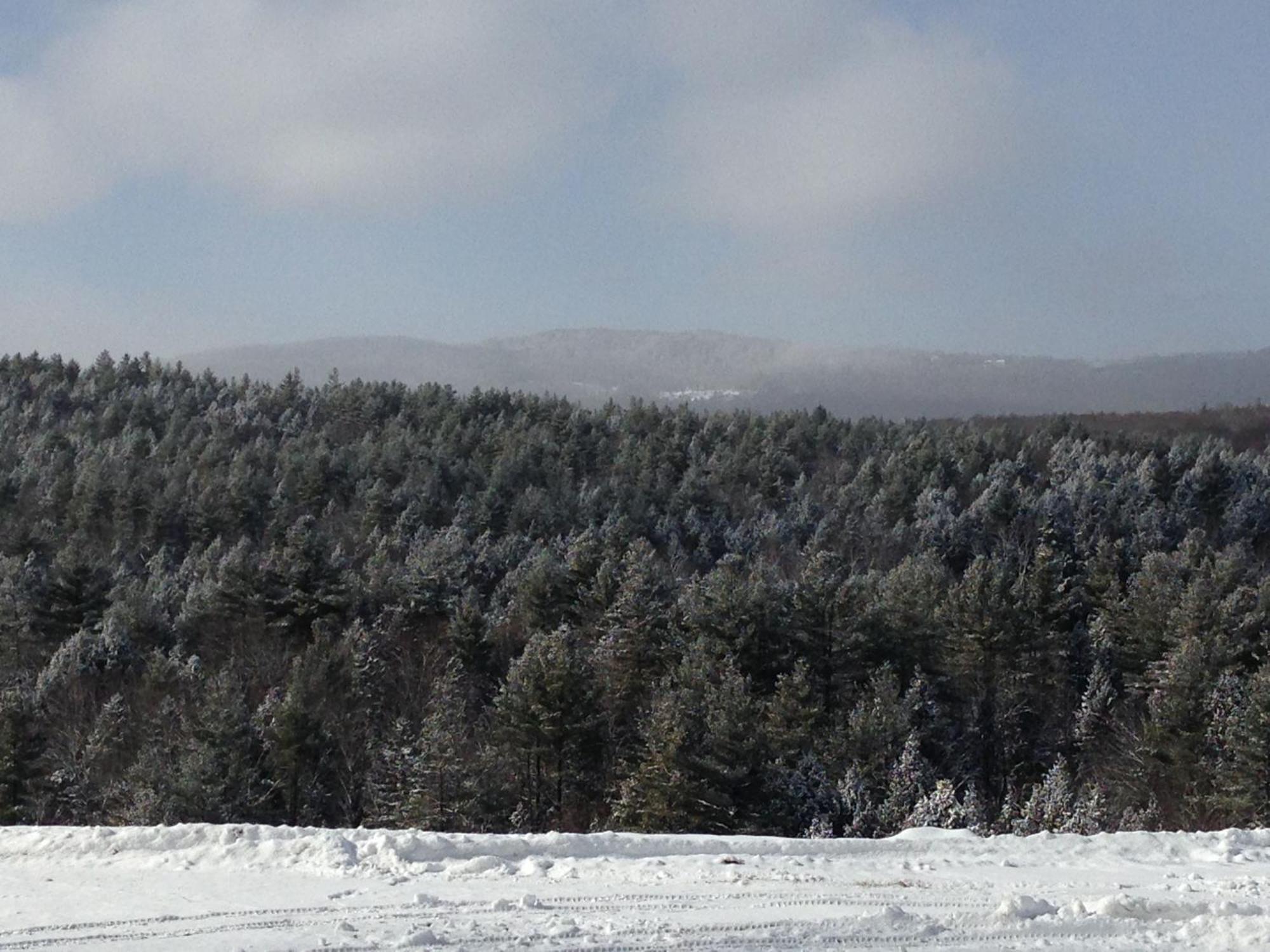 Adams Hill House Retreat - Artist-Architect'S Estate, Newfane Vermont 外观 照片